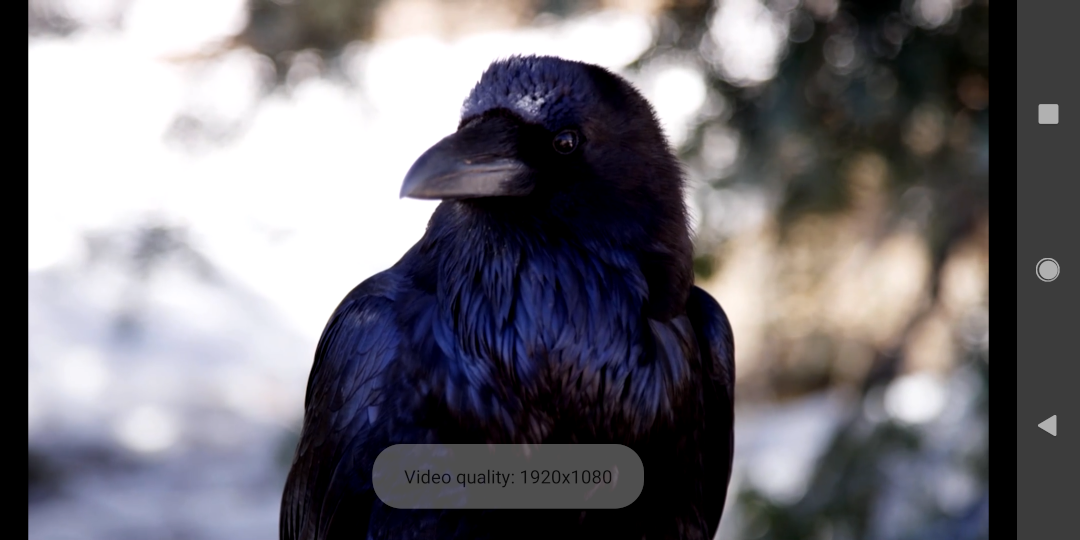 manual_srt_laryx_player